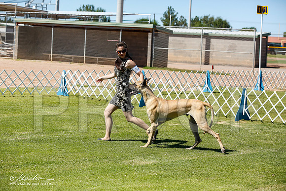 _JN_6339-AlamogordoOct2014-HR3
