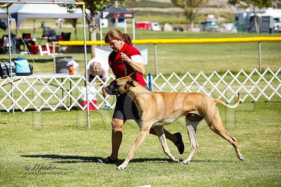 _JN_1225-AlamogordoOct2014-HR3