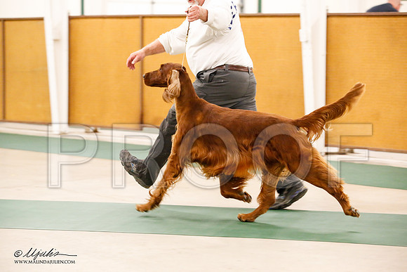 _JN_0890-NrmnNov2014-HR3