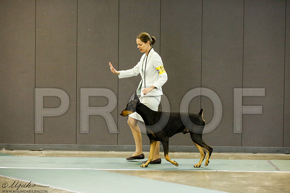 _J3L9341-BeltSep2014-HR