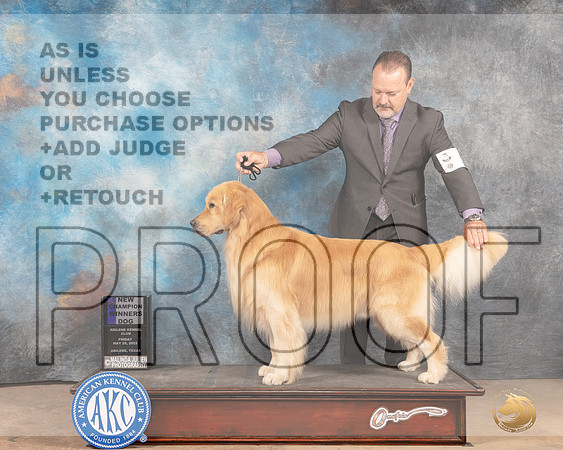 Golden Retriever #9 Fri WDCh Judge Peggy McIllwaine r-MMJ_4037-Abilene2022-HR3