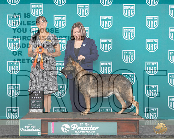 German Shepherd Dog #298 THur T10BOB Judge Stephanie Mueller__JP_0937e_Premier_2024_HR3