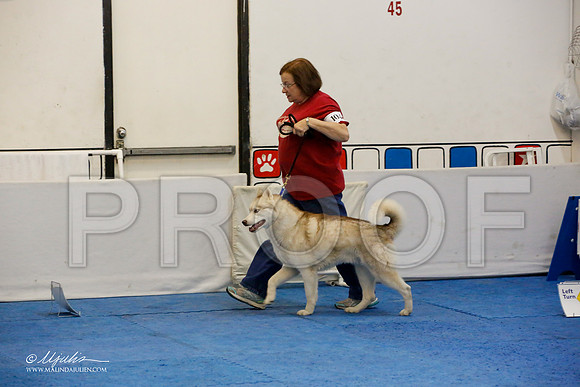 _M3_7628-AddisonHuskyMar2015-HR3