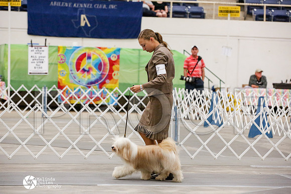 _JJ_9394-AblnMay2014-web