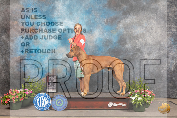 Rhodesian Ridgeback #25 SD Judge Michael Canalizo_MJ_0792_SA_2022_HR3