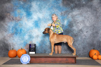 Rhodesian Ridegback #21 Sun WD Judge Ann Roth