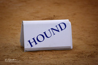 Hound Group Sat Ring
