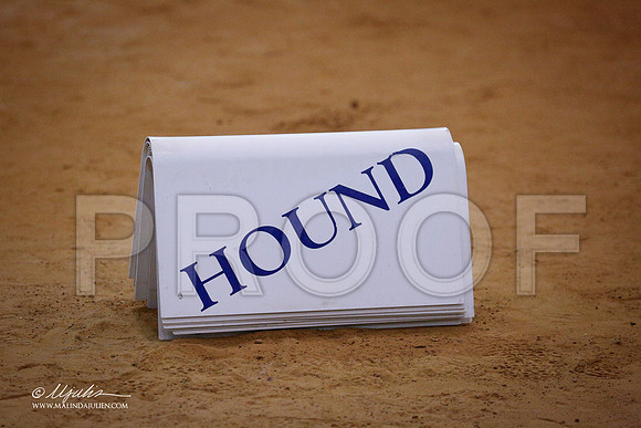 HoundGrp-1516-GRJan14-HR