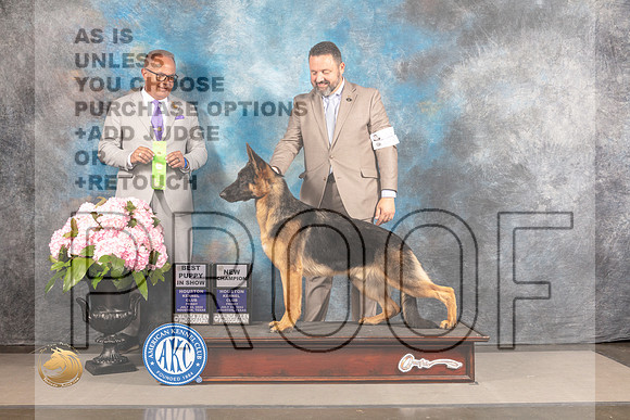 German Shepherd Dog #33 FRI BCH Judge?_MJ_5887_Houston_2022_HR3