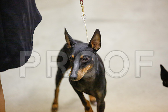 _JN_7811-AmarilloSept2014-HR3