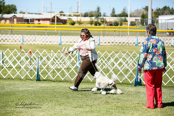 _JN_1007-AlamogordoOct2014-HR3