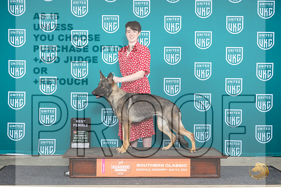 German Shepherd Dog #155 Sat BF Judge Pamela Perdue__JP_6524_BatesvilleMS_2024_HR3
