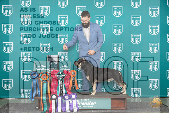 American Bully #825 Sun card__JP_3327_Premier_2024_HR3