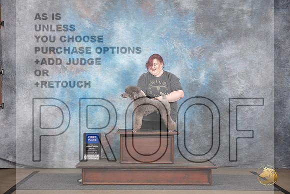 Poodle Miniature # Fri No Judge__JP_2319_LongviewTX_2024_HR3