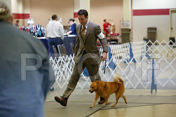 _JJ_0059-AmarilloSept2014-HR3