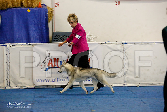 _M3_8934-AddisonHuskyMar2015-HR3