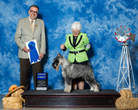 Standard Schnauzers #5 G1 Crist Kathlene D Agent Brenda Lee Combs Mr James G Reynolds