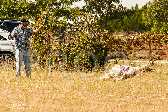 _MJ_4752-AfgBeltonOct2014-HR3
