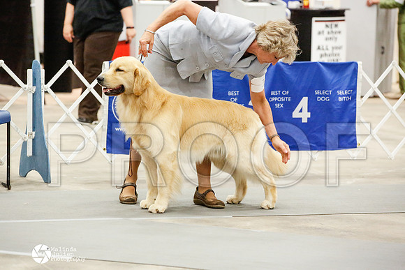 _JN_1246-AblnMay2014-web