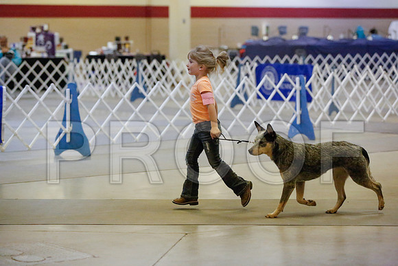 _JN_8918-AmarilloSept2014-HR3