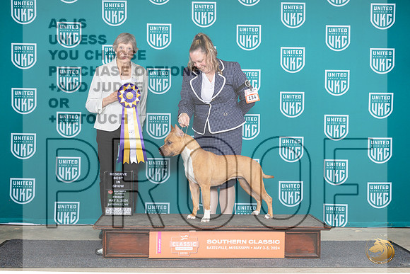 American Pit Bull Terrier #134 Fri2 RBIS Judge Susan Sawyer Anderson__JP_6407e_Batesville_2024_HR3