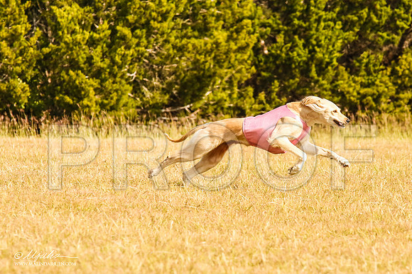 _MJ_4465-AfgBeltonOct2014-HR3