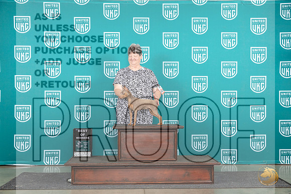 Miniature Pinscher #1067 Fri BOW Judge Diane Price__JP_1578_Premier_2024_HR3