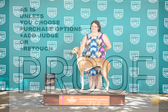 Azawakh #272 Sunn BF Judge Matt Proctor__JP_1799_Longview WA_2024_HR3