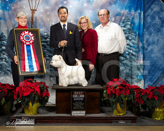 _ST_8395-DallasDec2014-HR3