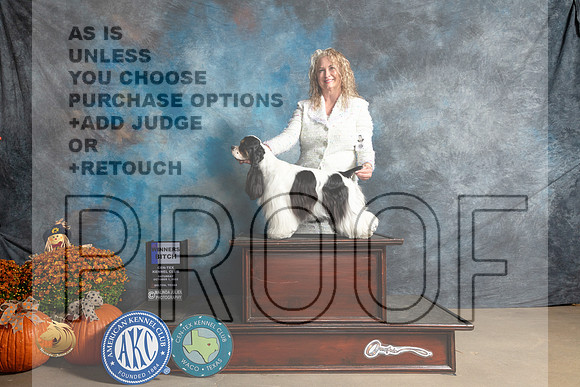 Cocker Spaniel Pari #8 Sat WB Judge Dan Dowling_MJ_5850_Belton_2022_HR3