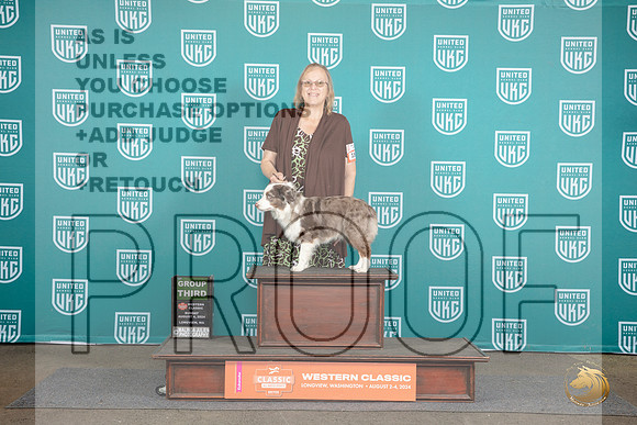 Miniature American Shepherd #184 Sat BOB G3 Judge Malinda Julien__JP_1675_Longview WA_2024_HR3