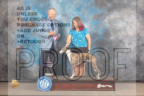 Whippet # WED WD Judge Richard Nance_MJ_2432_Houston_2022_HR3