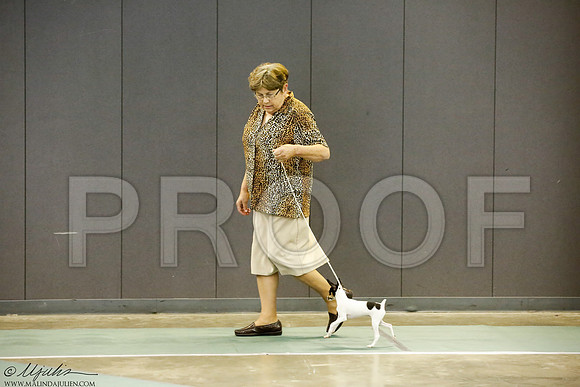_J3L9257-BeltSep2014-HR