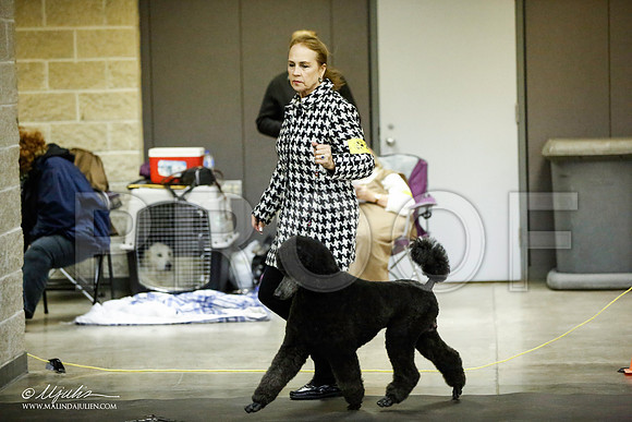 _JJ_5648-BeltonJan2015IABCA-HR3