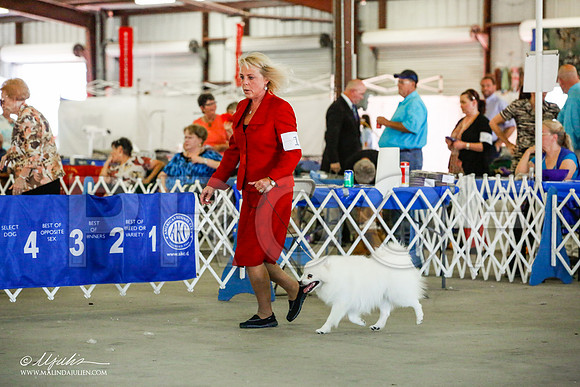 _JJ_4227-AlamogordoOct2014-HR3