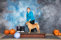 Chinese Shar Pei #12 Sun WB Judge Ray Filburn