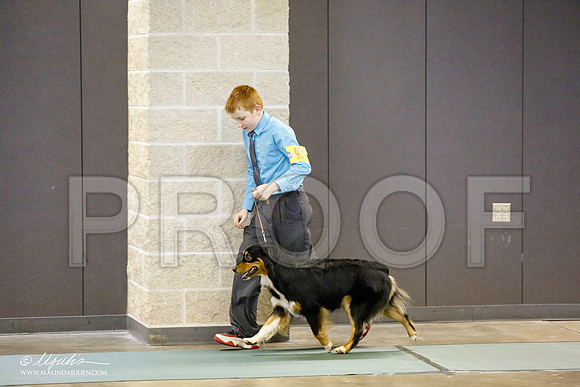 _RH_8748-BeltonJan2015-HR3