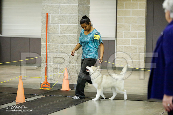 _RH_1780-BeltonJan2015IABCA-HR3