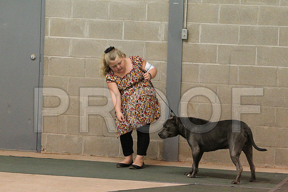 JuniorCCL_1370LR