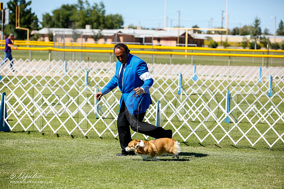 _JN_9159-AlamogordoOct2014-HR3