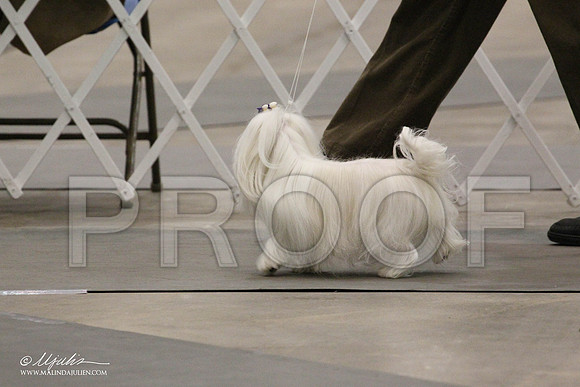IMG_7920-Abilene2011-HR3