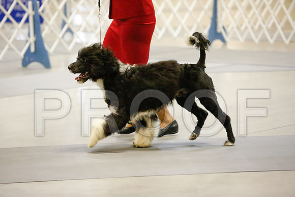 _JJ_7920-AmarilloSept2014-HR3