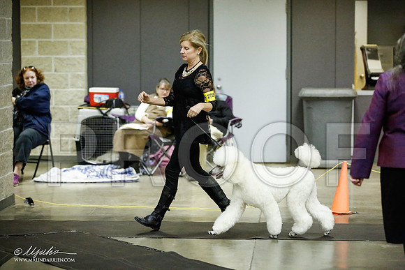 _JJ_5902-BeltonJan2015IABCA-HR3