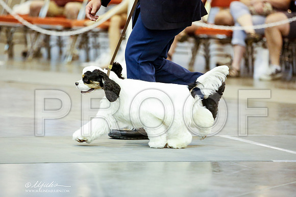 _JN_6389-HstnJul2014-HR3