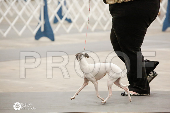 _CK_6060-AblnMay2014-web