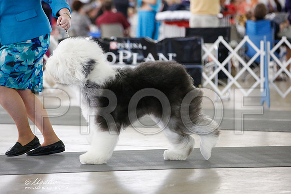 _JJ_5633-DallasJul2014-HR3