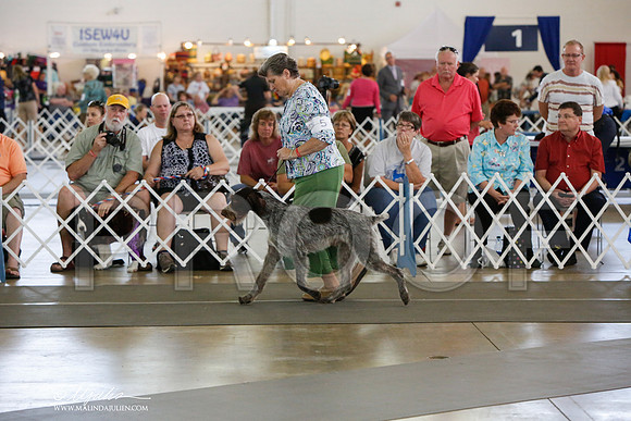 _JJ_1371-DallasJul2014-HR3