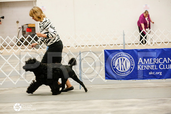 _HR_2462-AblnMay2014-web