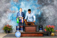 Dachshund Longcoat #17 Fri BOVBOSBV Judge Aubrey Nash