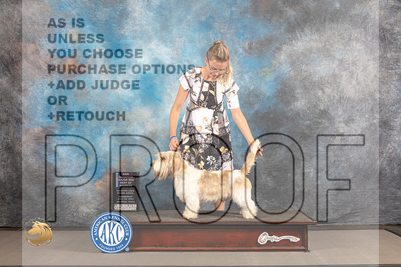 PBGV #7 WED BOW WD NCH Judge Richard Nance_MJ_1864_Houston_2022_HR3